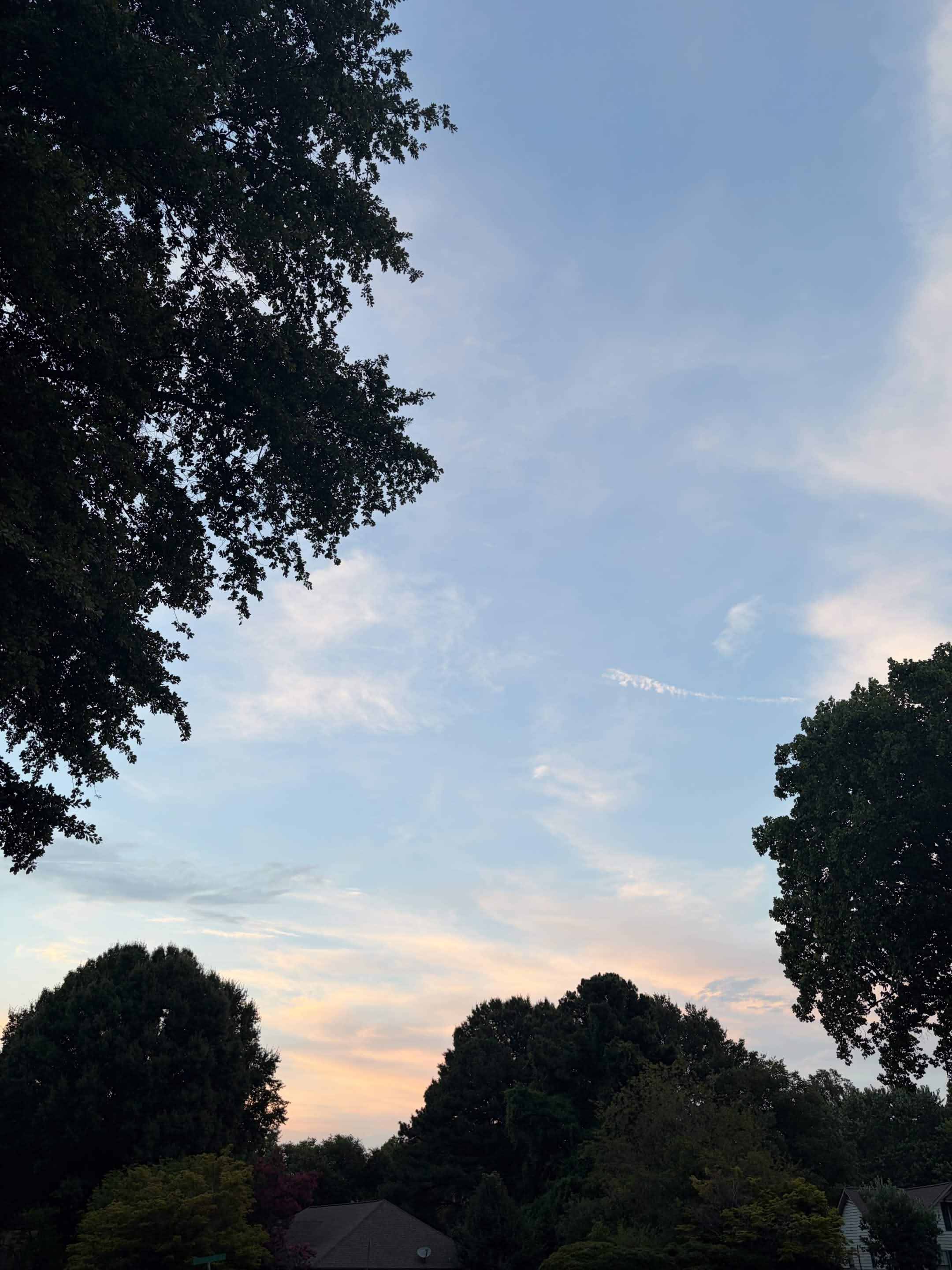 A peaceful evening sky framed by trees